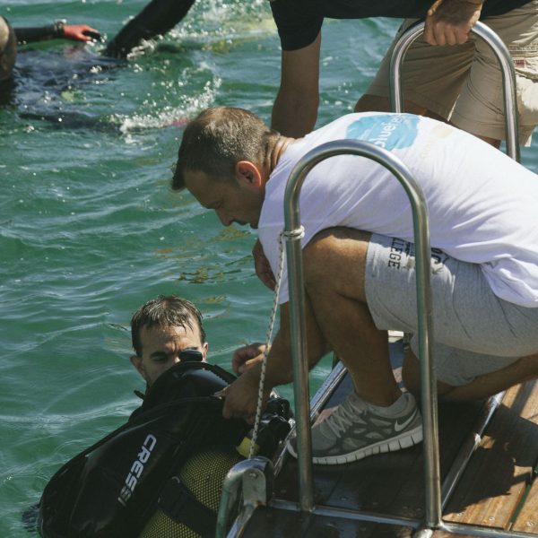 BlueFest_DAY_2_DIVE_WEB-25