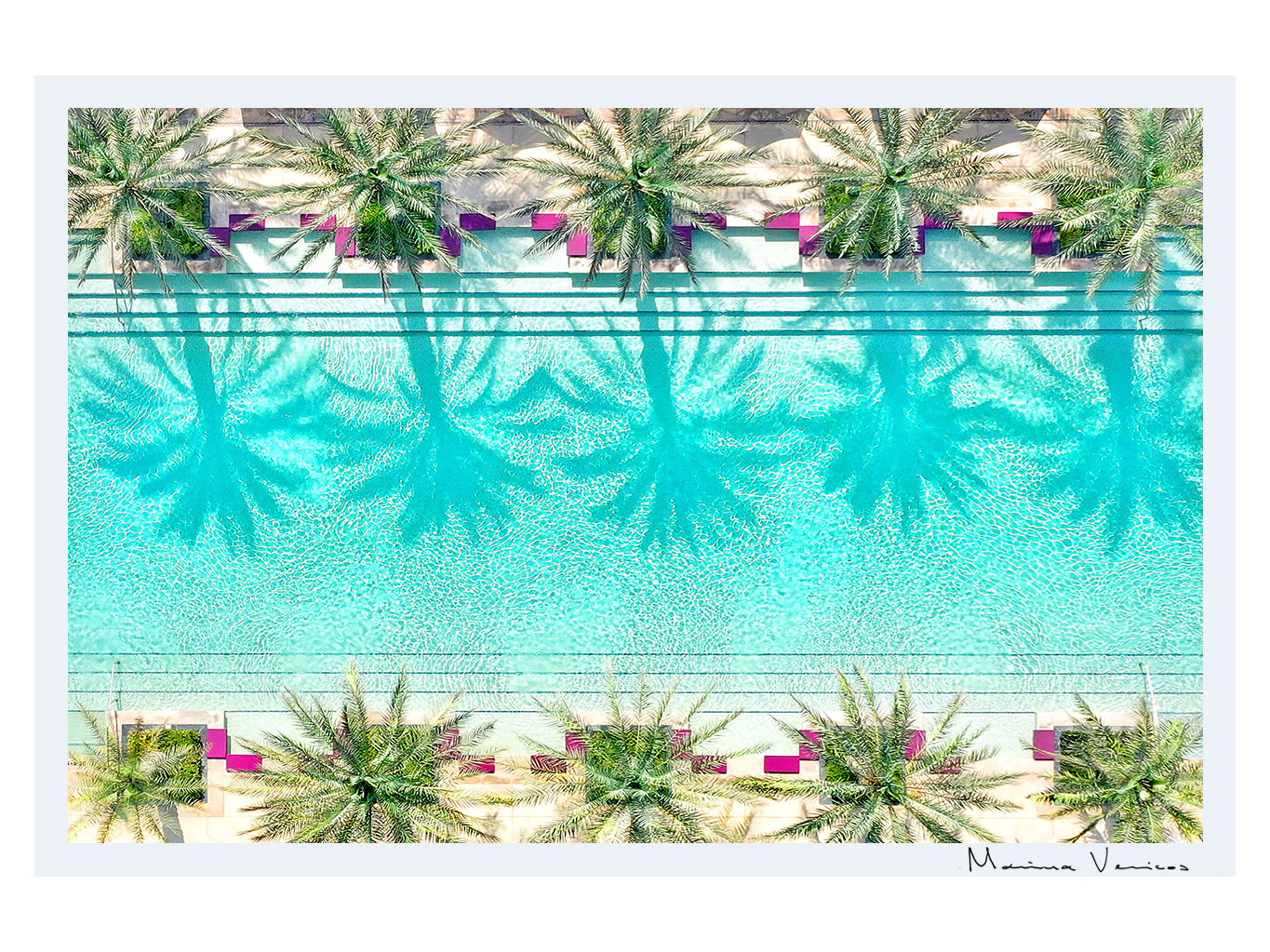 Palm pool